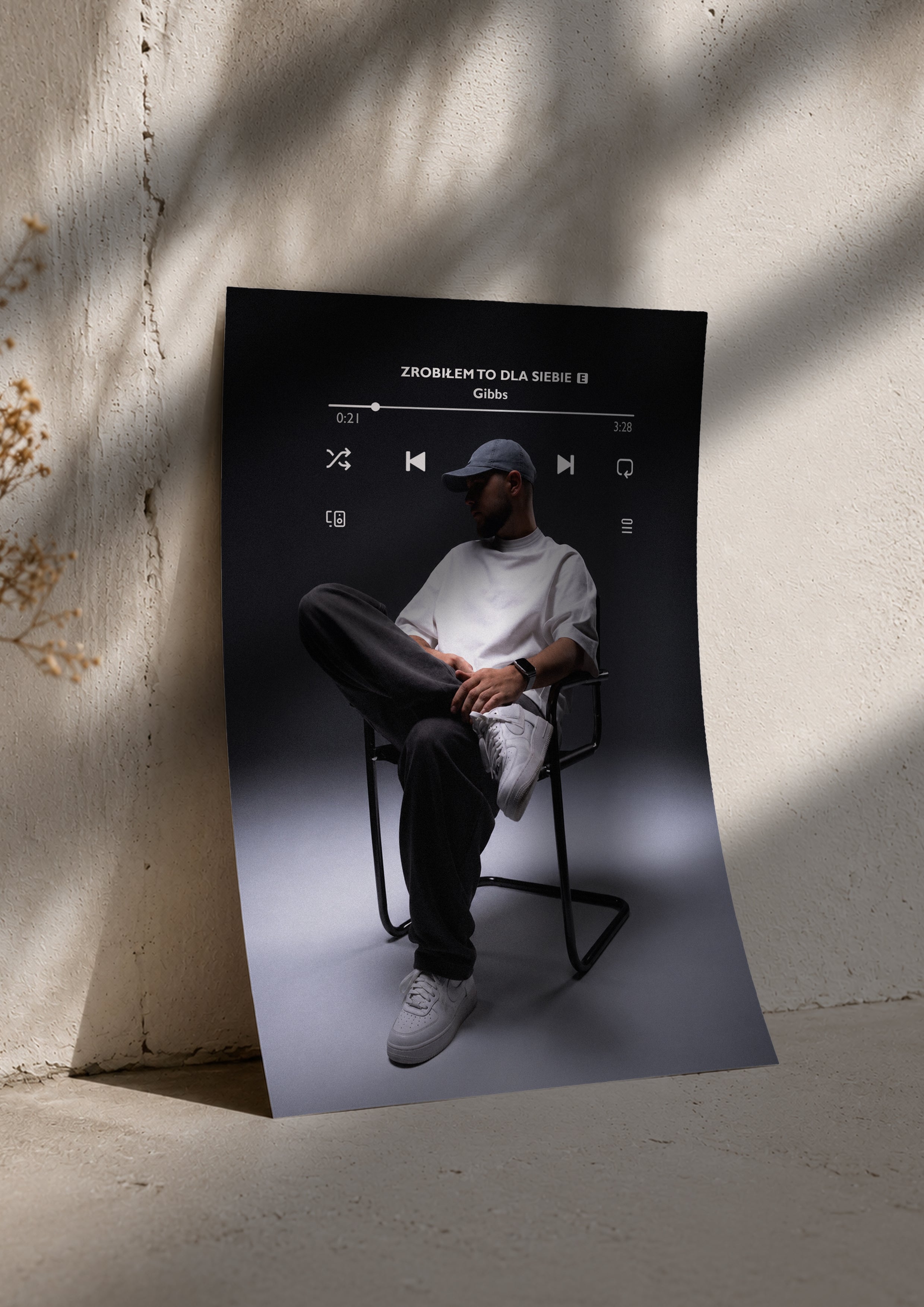 Plakat Gibbs